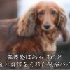 風俗バイト体験談