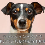 風俗バイト体験談