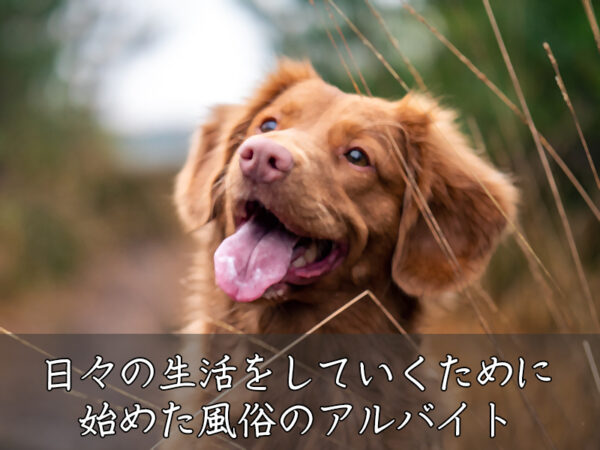 風俗バイト体験談