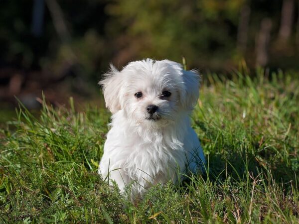 風俗バイト体験談