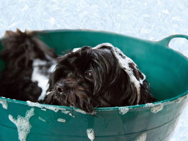 風俗バイト体験談