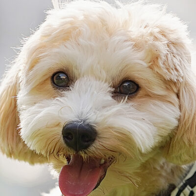 メンズエステ初心者が半年で稼いだ副業成功体験談