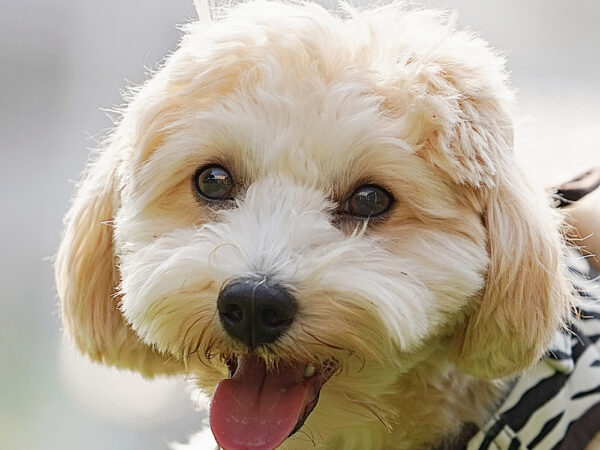 メンズエステ初心者が半年で稼いだ副業成功体験談