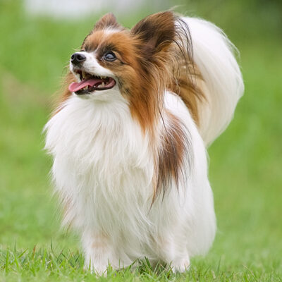 普通のバイトの3倍稼げる出張型デリヘルの給料事情