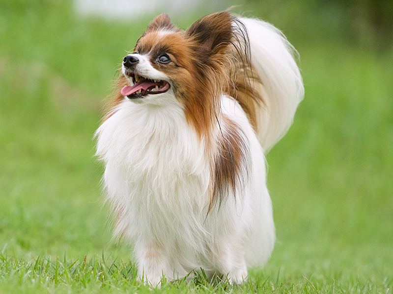 普通のバイトの3倍稼げる出張型デリヘルの給料事情